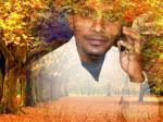 vimal