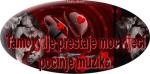 nocnosetalo